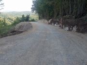 Cesta_Kordunski_Ljeskovac-06