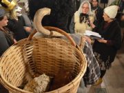 maskare_rakovica_2018-30