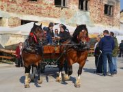 sajam-Cetingrad-2015-12