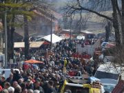 sajam-Cetingrad-2015-15