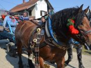 sajam-Cetingrad-2015-17