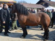 sajam-Cetingrad-2015-32