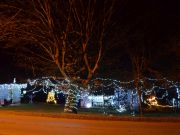 Rakovica_bozicno_kicenje_2018-19