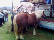 Josipovo_Cetingrad_2017_05