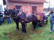 Josipovo_Cetingrad_2017_07