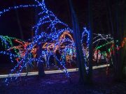 Bozicna_prica_Salajland-06