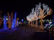 Bozicna_prica_Salajland-15