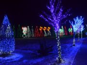 Bozicna_prica_Salajland-29