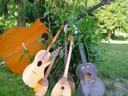 KUD-Izvor-instrumenti