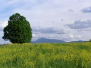 rakovica-opcenito-04