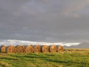 rakovica-opcenito-17